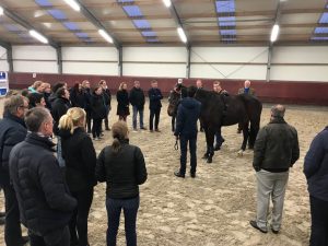 Paarden_dierenartsen Stal Chardon feb 2018